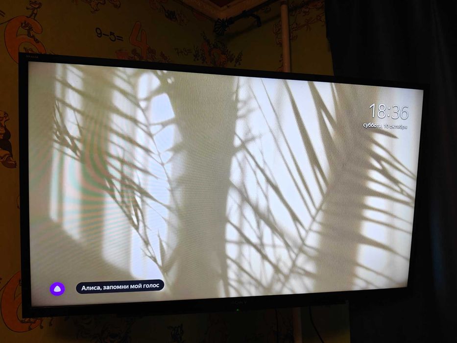 Телевизор для гостиной SONY