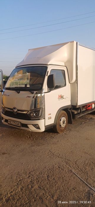 Карона ветровик  аптекател