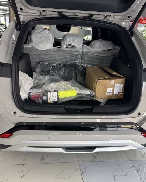 Byd Chempion 605 Ev Va Hyibrit