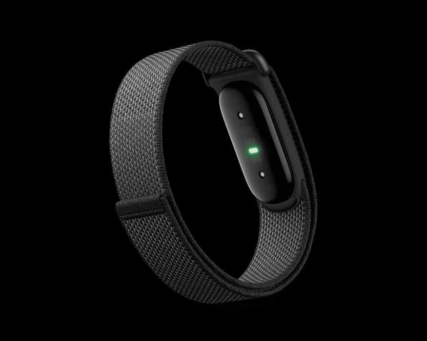 Google Fitbit Air - Obsidian, Berry, Lavender