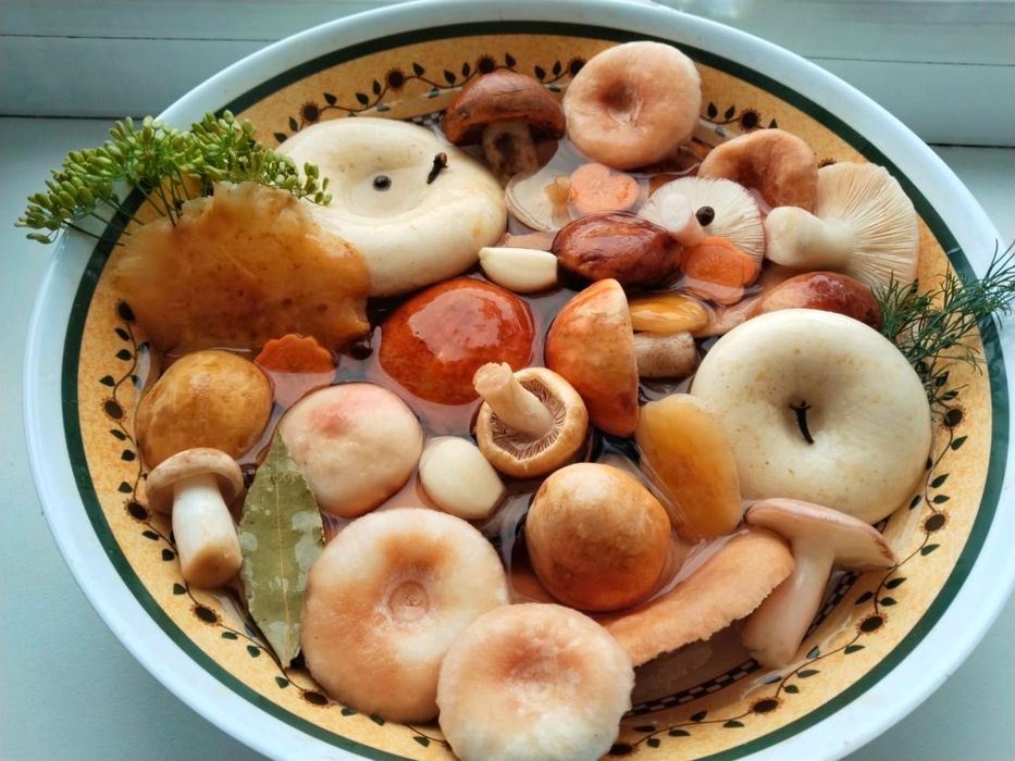 Маринованные грибы лесные