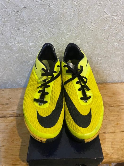 Зальнии красовка