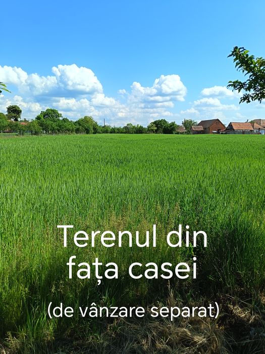 Casă de vacanță la marginea satului Susag– Refugiu liniștit la țară, teren generos și potențial de extindere