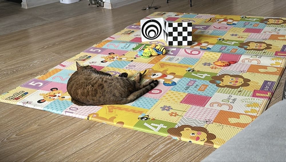 Продам детский развивающий коврик