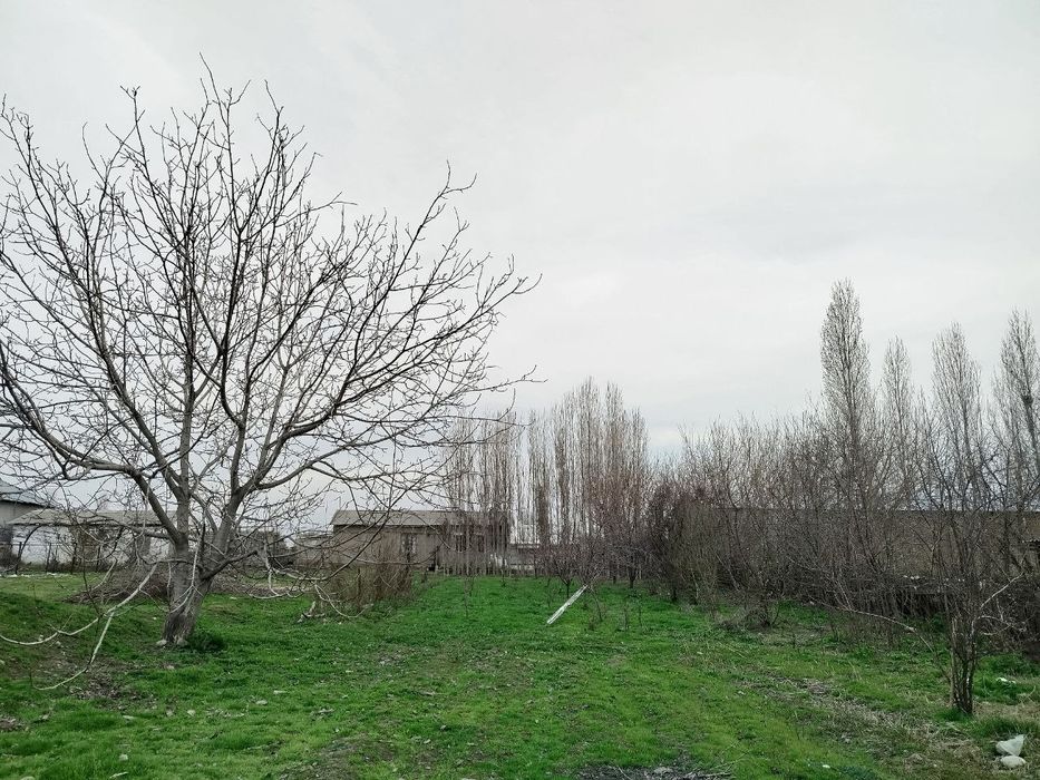 Kadastr xujjatlari joyida