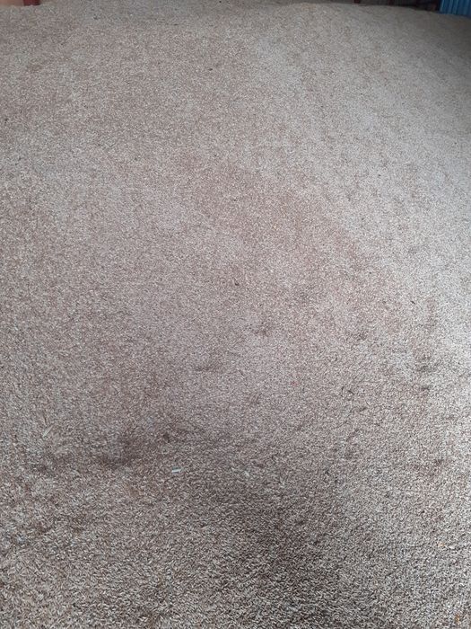 Vand porumb fundulea si triticale