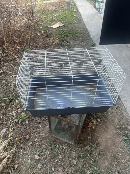 Клетка большая…..