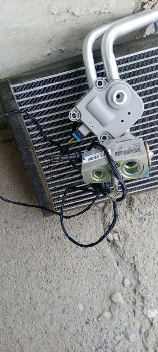 Kandisaner koʻbit garatiyas bor