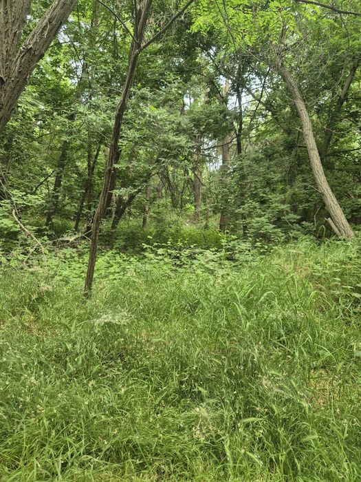 Участок Зангиота мечеть.