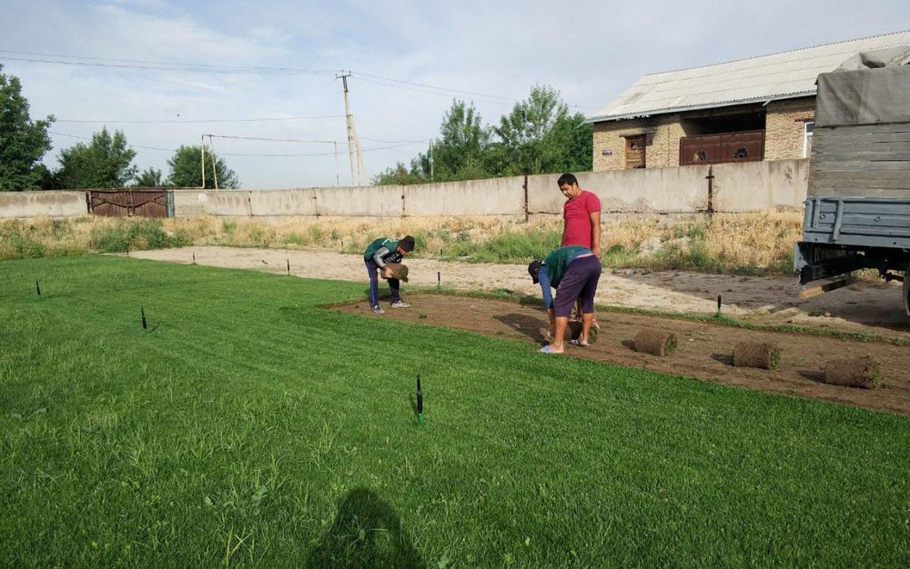 Рулонный газон доставка и укладка за один день