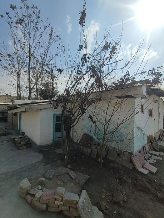 Biznes uchun uy ijaraga beriladi, yangi qurilish qilsa bo'ladi