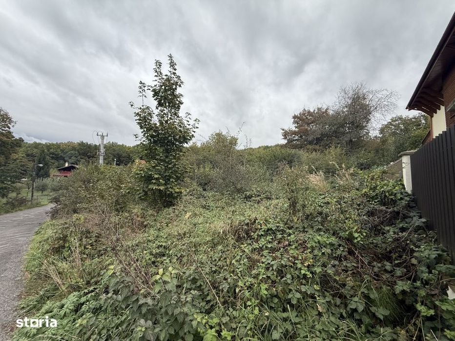 Teren intravilan 1000 mp in Faget – Strada Antonin Ciolan, langa pad