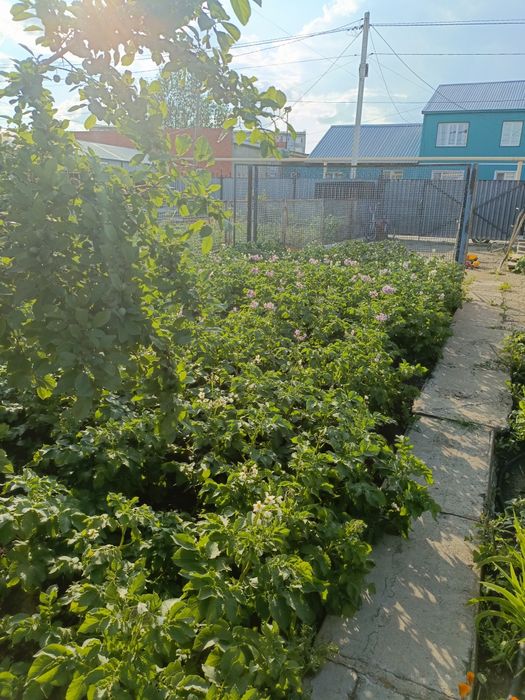 Продам (таунхаус) 5 А микрорайон