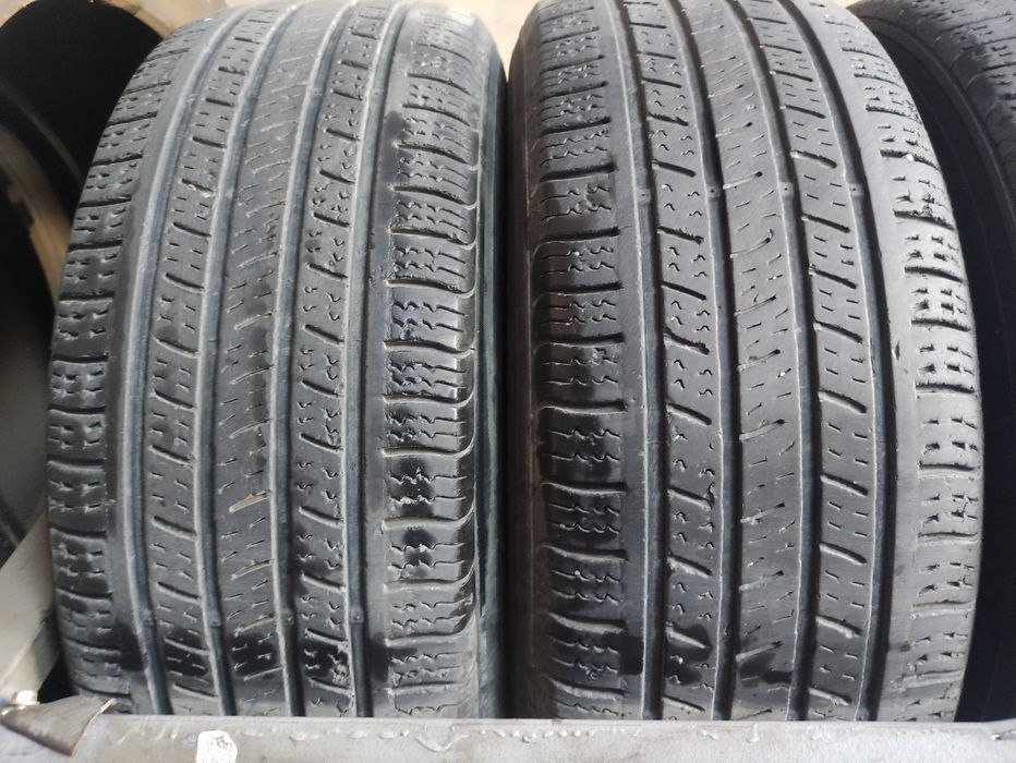 Kuho solus holati zor