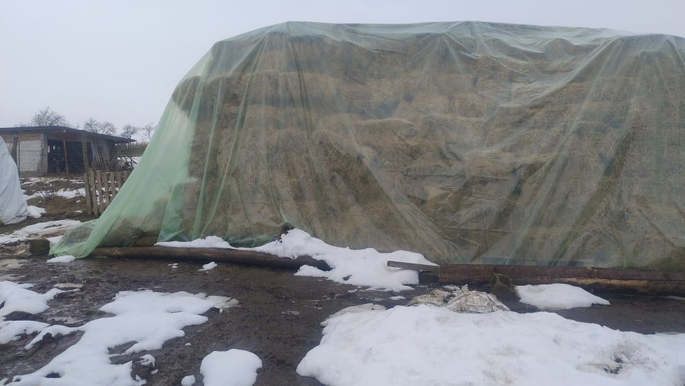 Baloți lucernă și fin