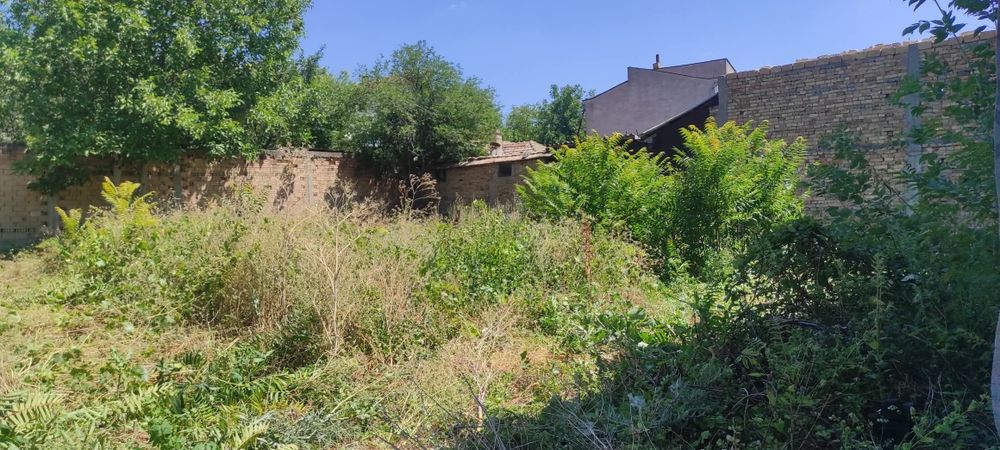 Предлагам косене на трева с бензинова косачка