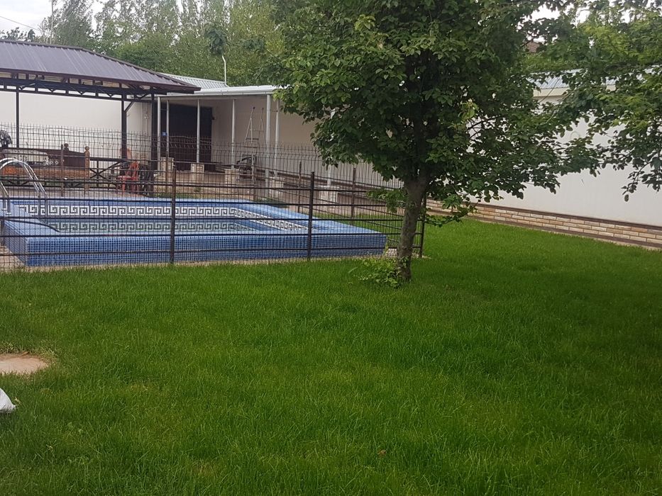 Sifatli gazon rulonliy (salafanli)