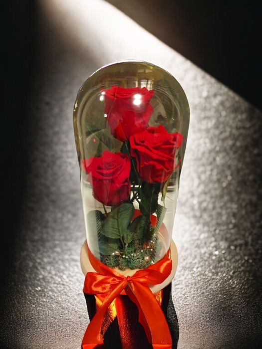 Cadou criogenat in cupola de sticla