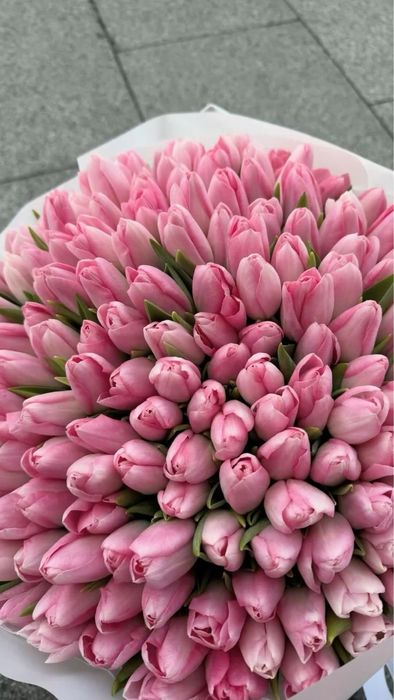 Тюльпаны по 850тг