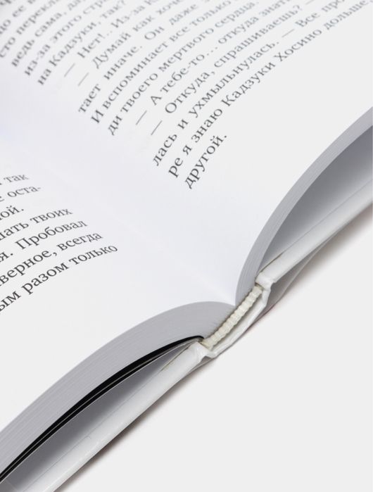 Пустая шкатулка и нулевая Мария кн.1/2, Микагэ Эйдизи