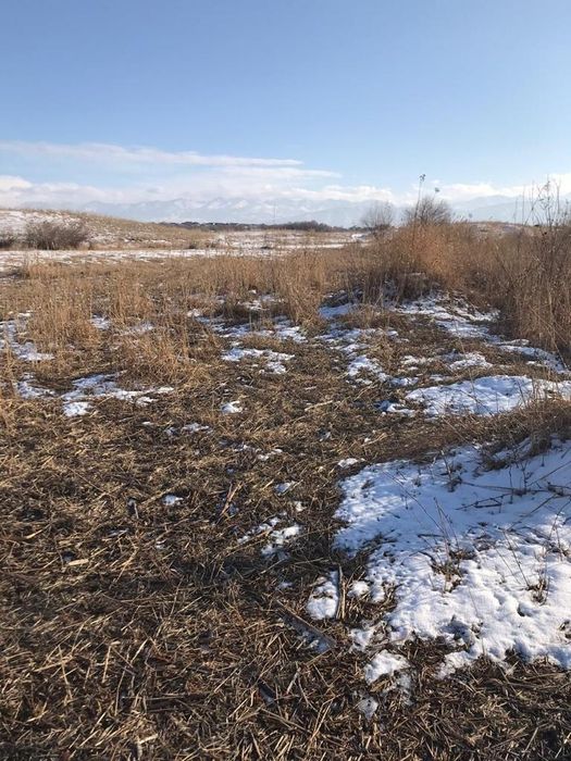 Участок КХ Касымбек