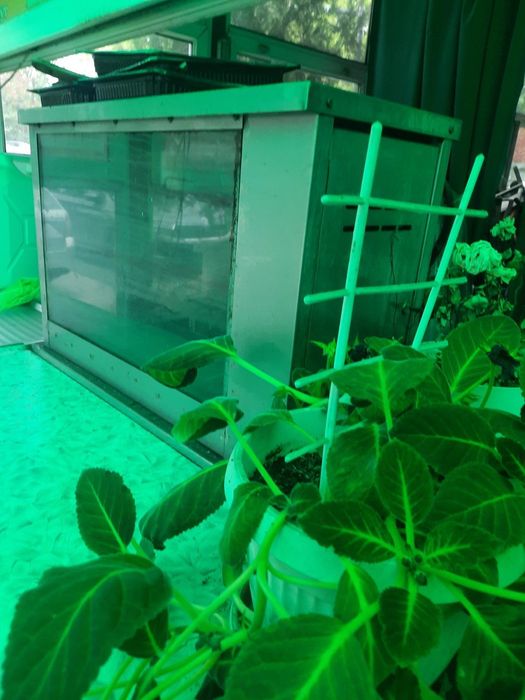 Грил,използван в отлично състояние