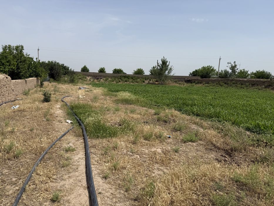 Qarshi tuman Kuchkak MFYda joylashgan 18sotix yer maydoni sotiladi