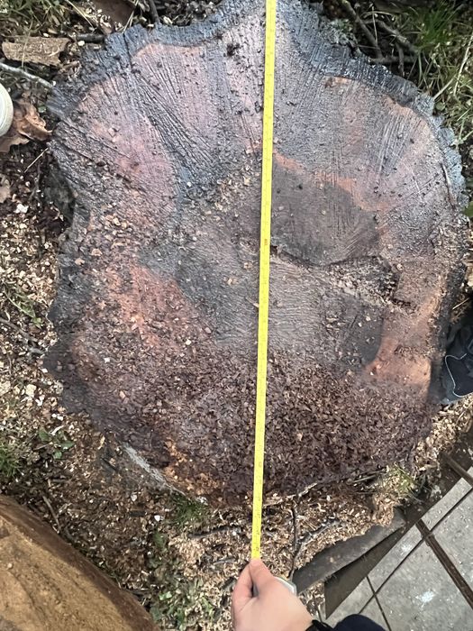 Vand nuc de 60 de ani