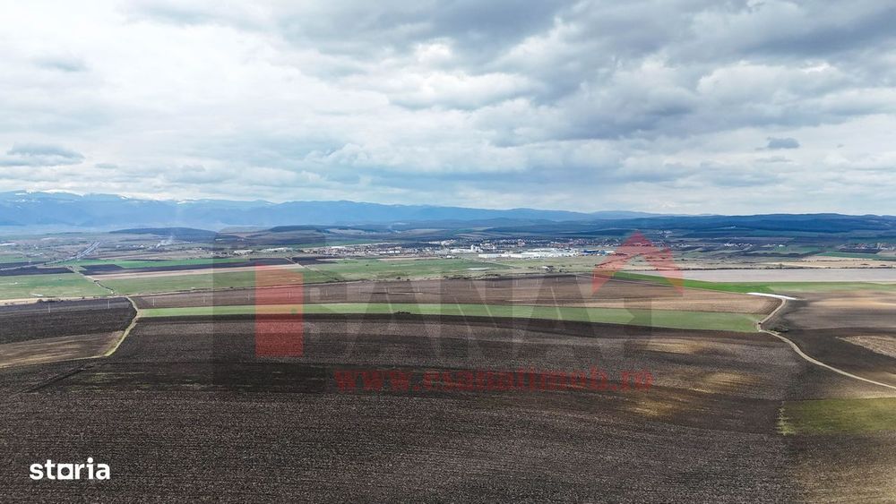 Ocazie | Teren 50.400 mp | Sura Mica | Investitie / dezvoltare |VIDEO