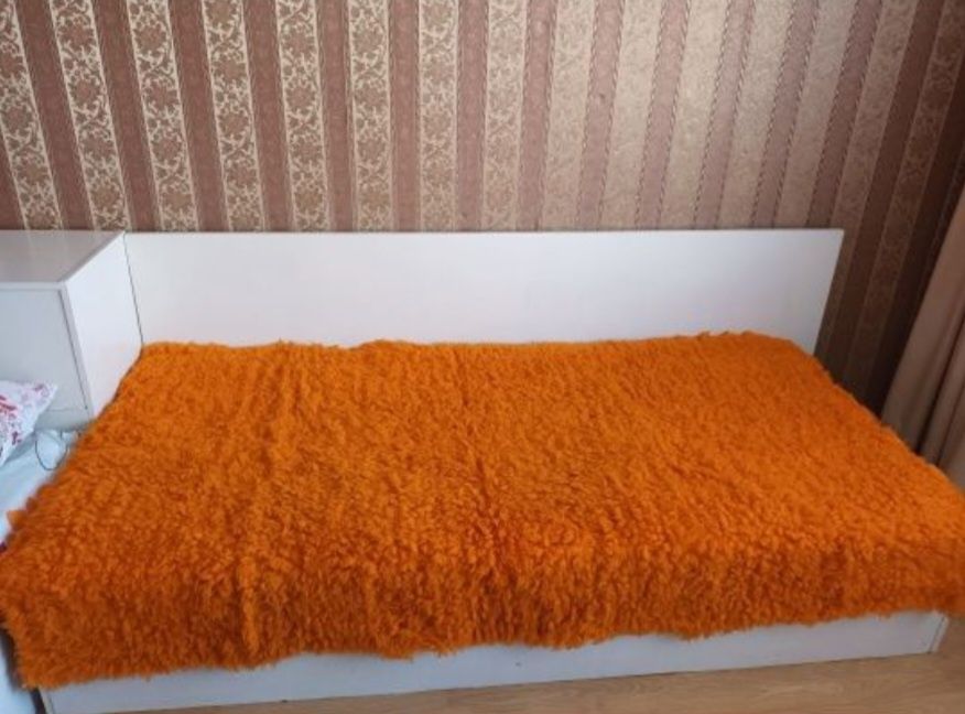 Продавам2 бр.китеници и 2бр.булани