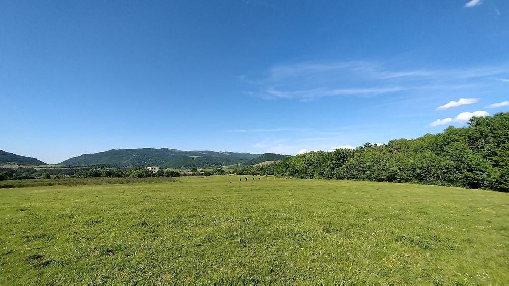 Продава се Земеделски имот в Елена -  кв.м за 2232 €/дка - Снимка #8