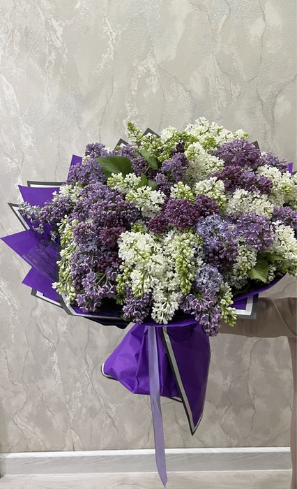 Цветы Сирень продается г Шымкент