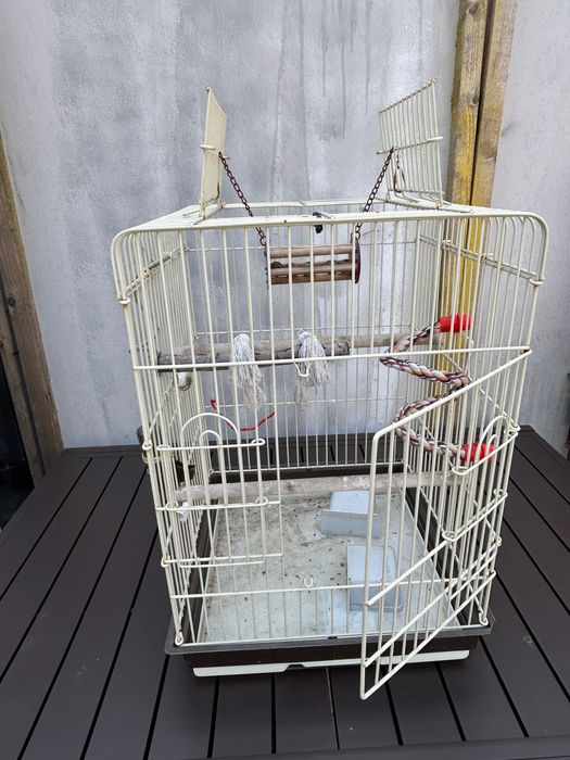 Colivie 43x43x65
