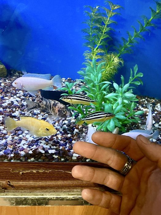 Аквариум 30 литров комплект с гарантией!