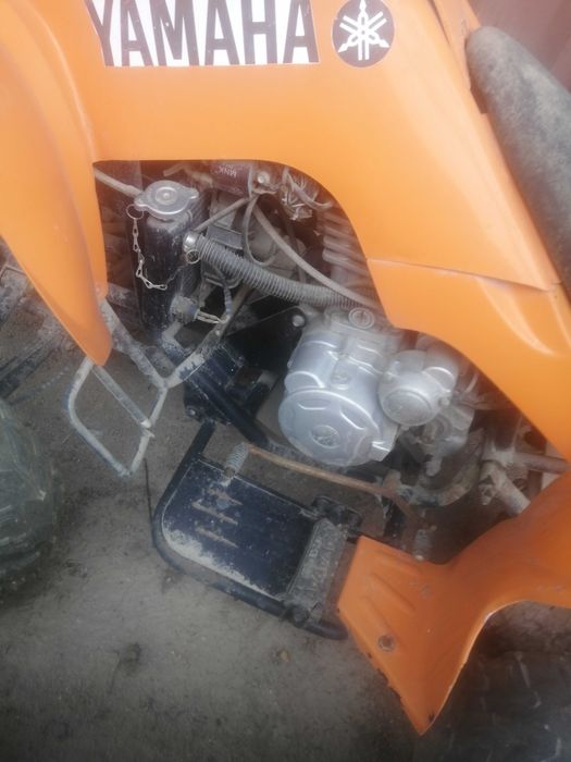 Квадроцикл механика 250куб