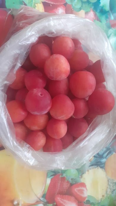 Продам яблочки, сливу, облепиху