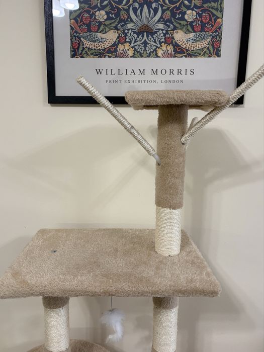 Катерушка за котки