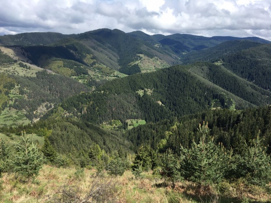 Продава се Къща в Чепеларе - 78 кв.м за 257 €/кв.м - Снимка #1