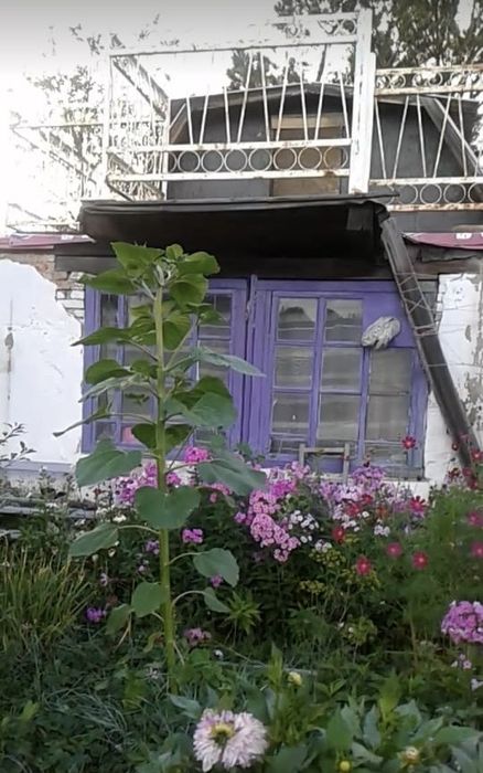 Продам дачу на Оптимисте