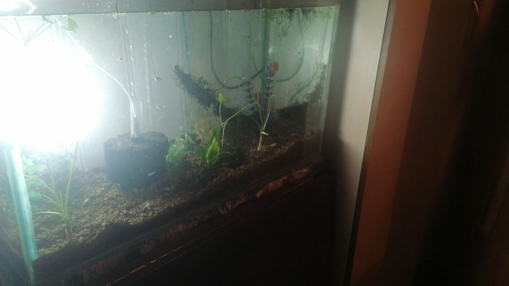 Аквариум 110литров полный комплект