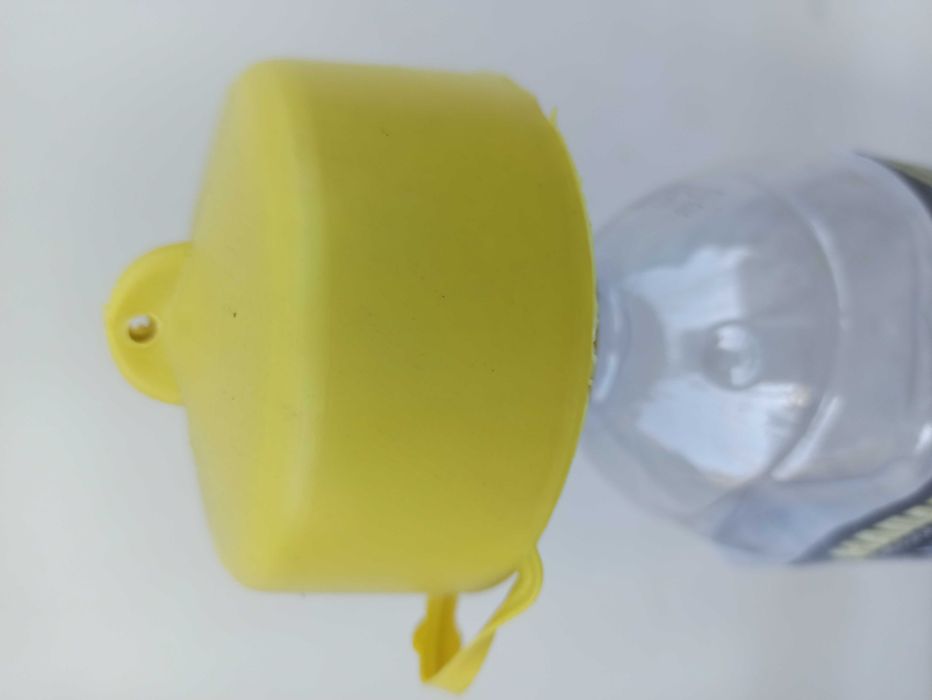 Капан за оси ,стършели и мухи