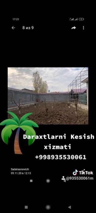 Daraxt kesish abrezka agranom