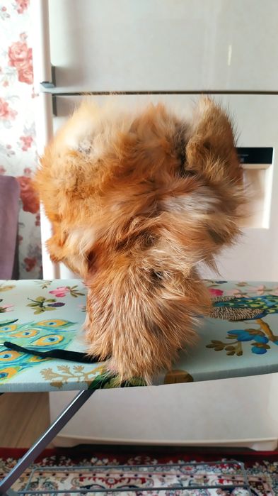 Шапка мужская из лисы.