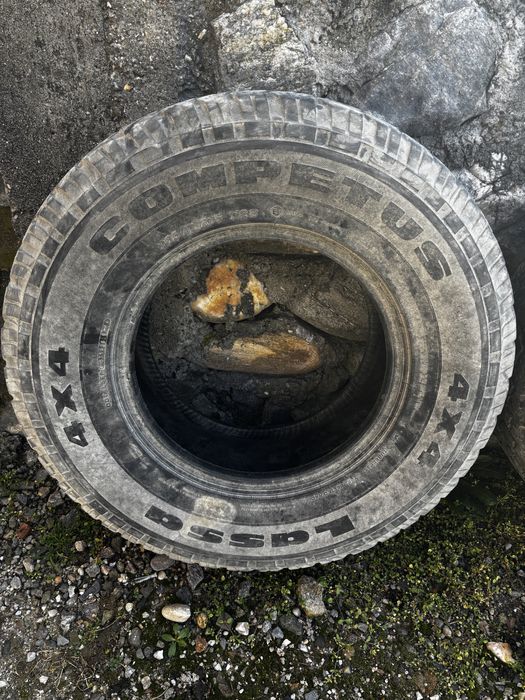 Cauciucuri Competus Lassa