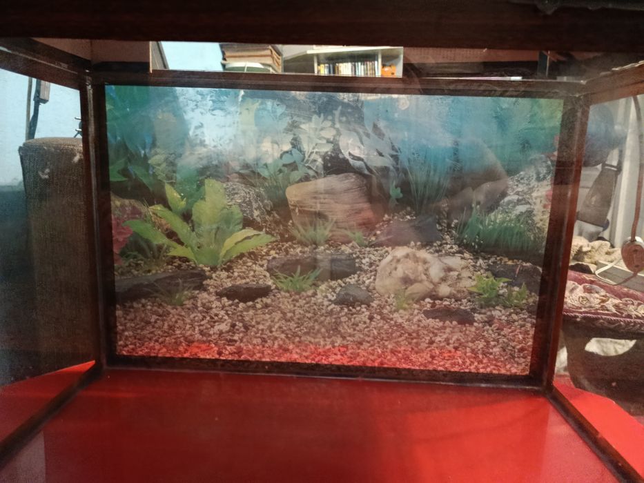 Аквариум для рыбок