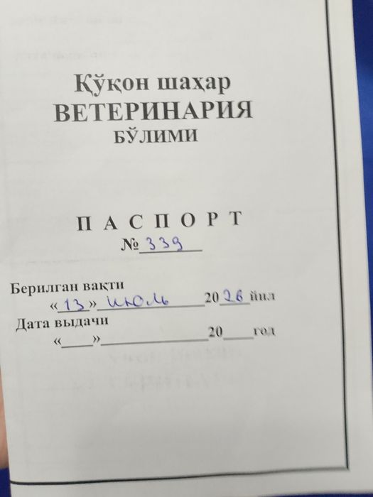 Среднеазиатская овчарка