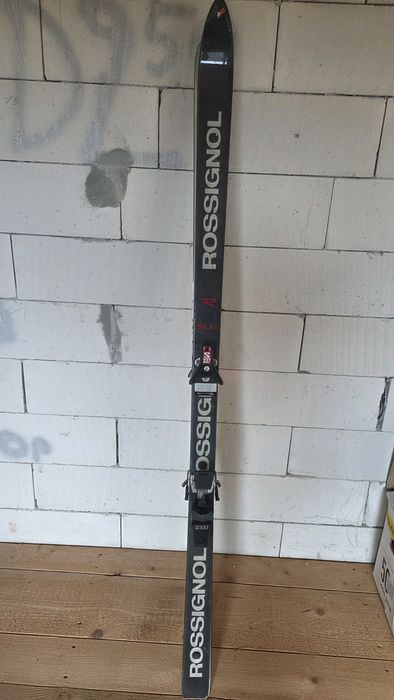 Schiuri rossignon adult M