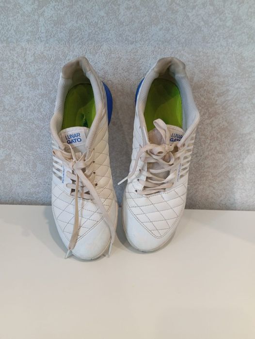 Залки  Lunar Gato