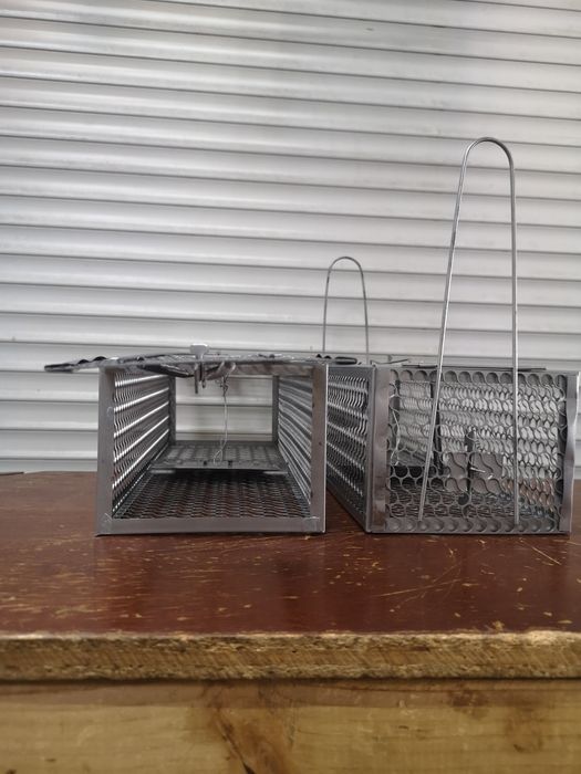 Capcana dihori sobolani orătanii