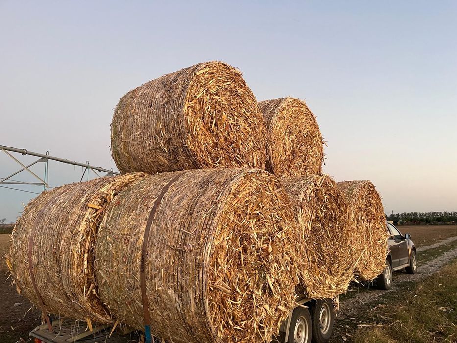 Baloti cocean porunb / paie grâu